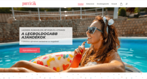 Porcicák-Divi-demo-webshop-keszítés